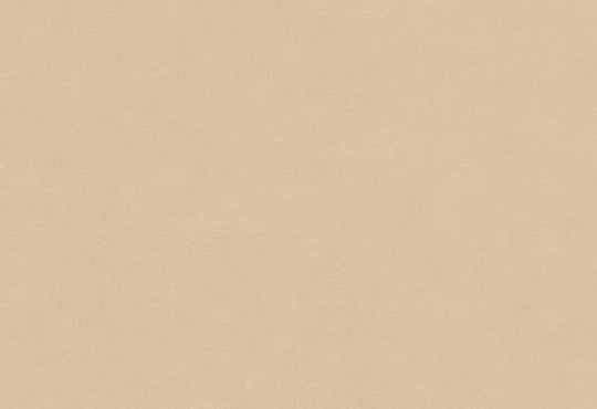 HookedOnWalls Caribbean Plain behang 27258Afbeelding 1