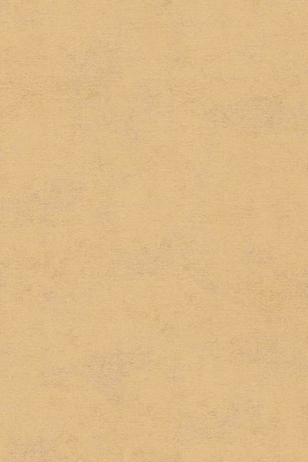 HookedOnWalls Caribbean Plain behang 27259Afbeelding 3