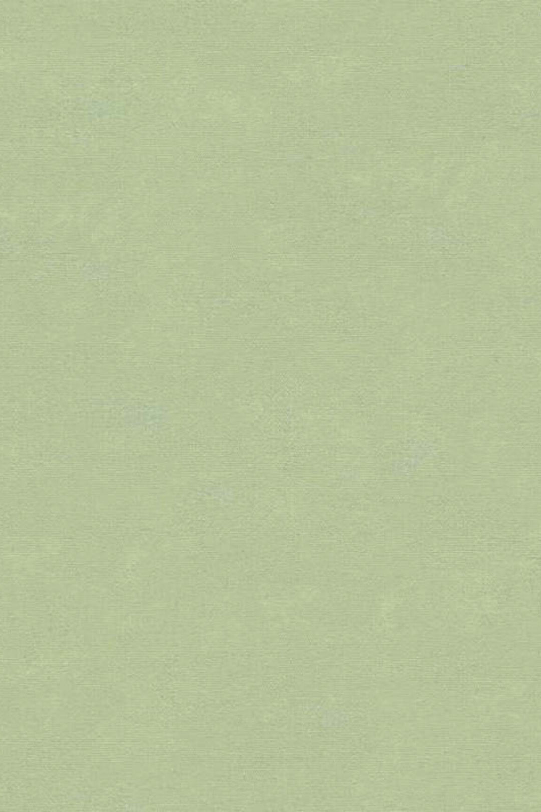 HookedOnWalls Caribbean Plain behang 27268Afbeelding 3