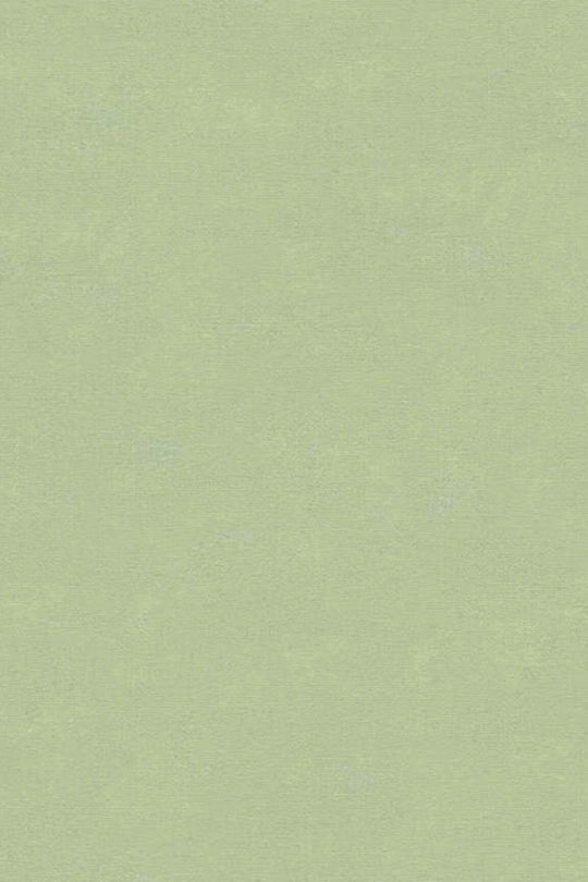 HookedOnWalls Caribbean Plain behang 27268Afbeelding 3