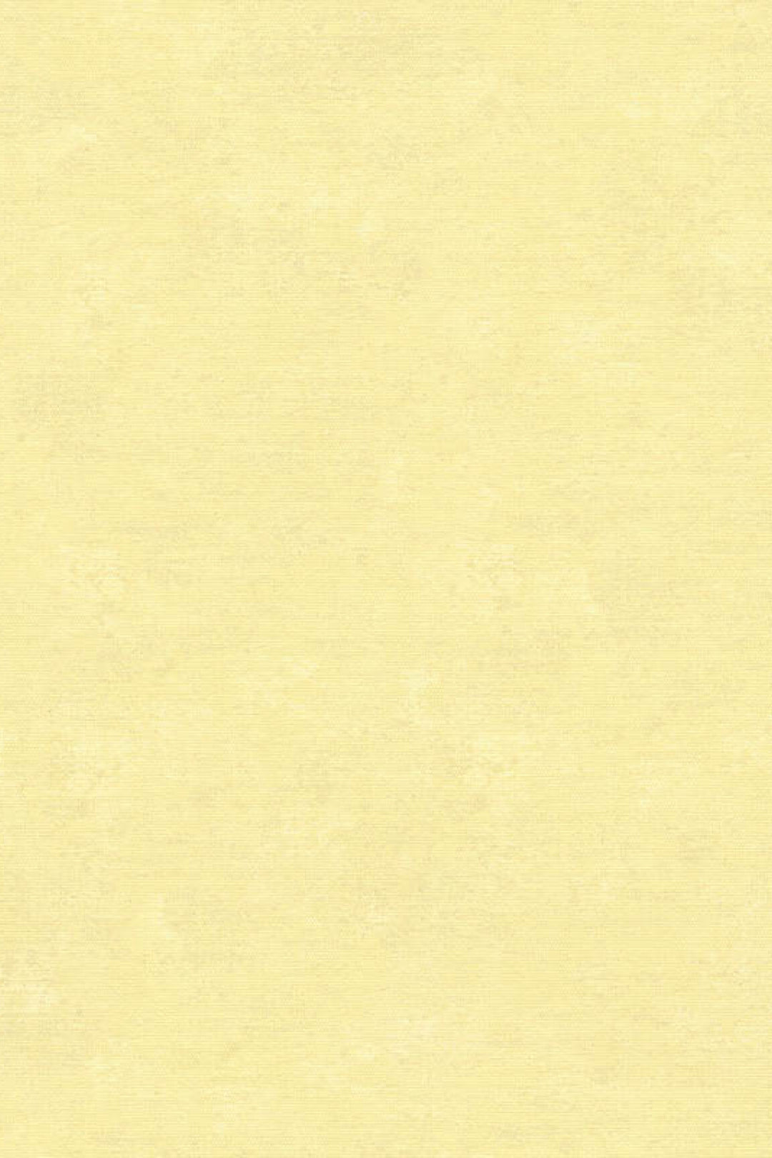 HookedOnWalls Caribbean Plain behang 27269Afbeelding 3