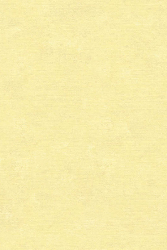 HookedOnWalls Caribbean Plain behang 27269Afbeelding 3