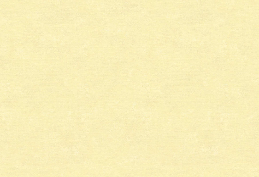 HookedOnWalls Caribbean Plain behang 27269Afbeelding 1