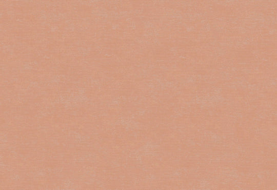 HookedOnWalls Caribbean Plain behang 27270Afbeelding 1