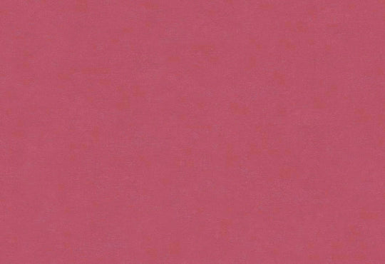HookedOnWalls Caribbean Plain behang 27272Afbeelding 1