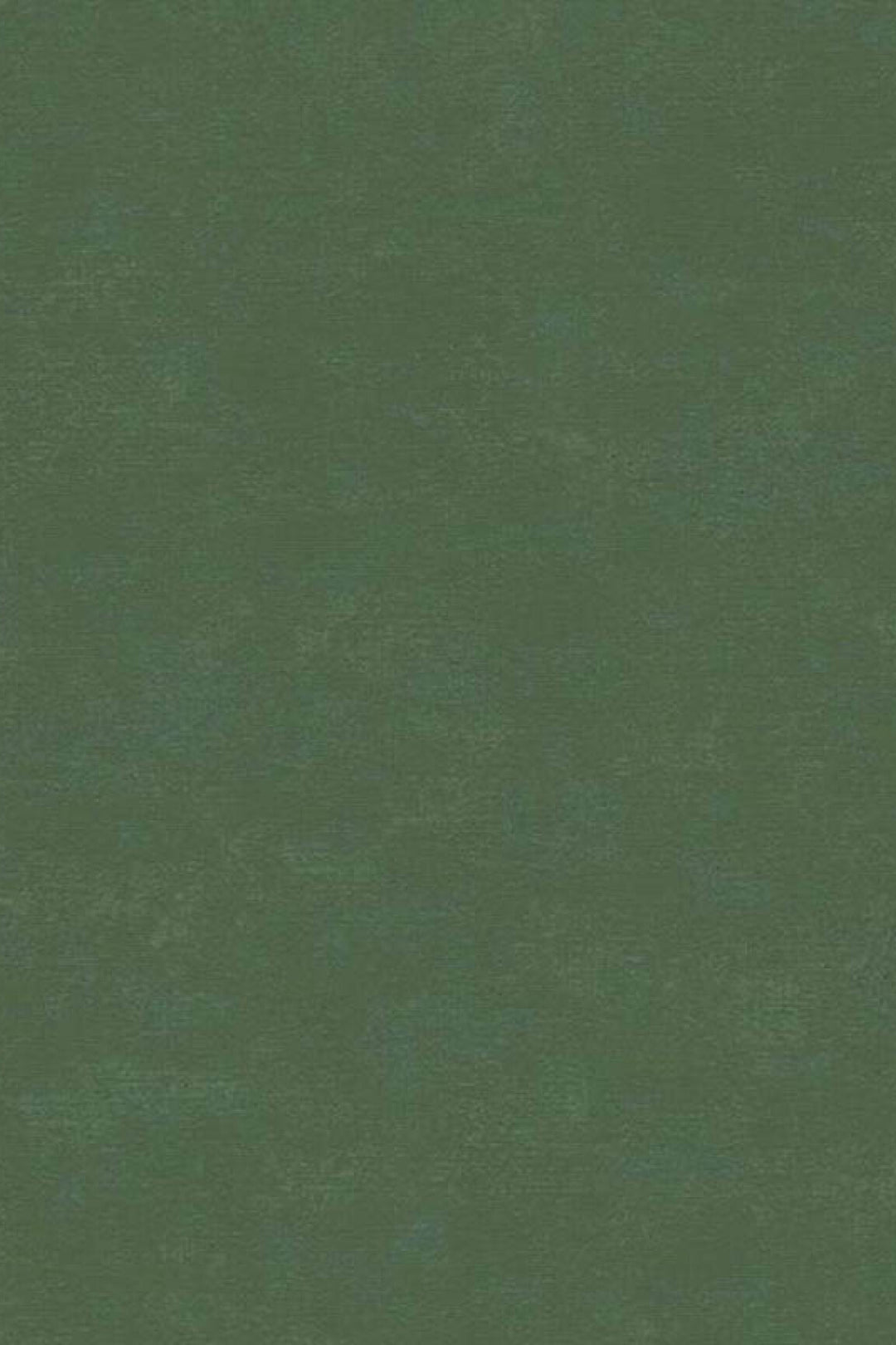 HookedOnWalls Caribbean Plain behang 27276Afbeelding 3