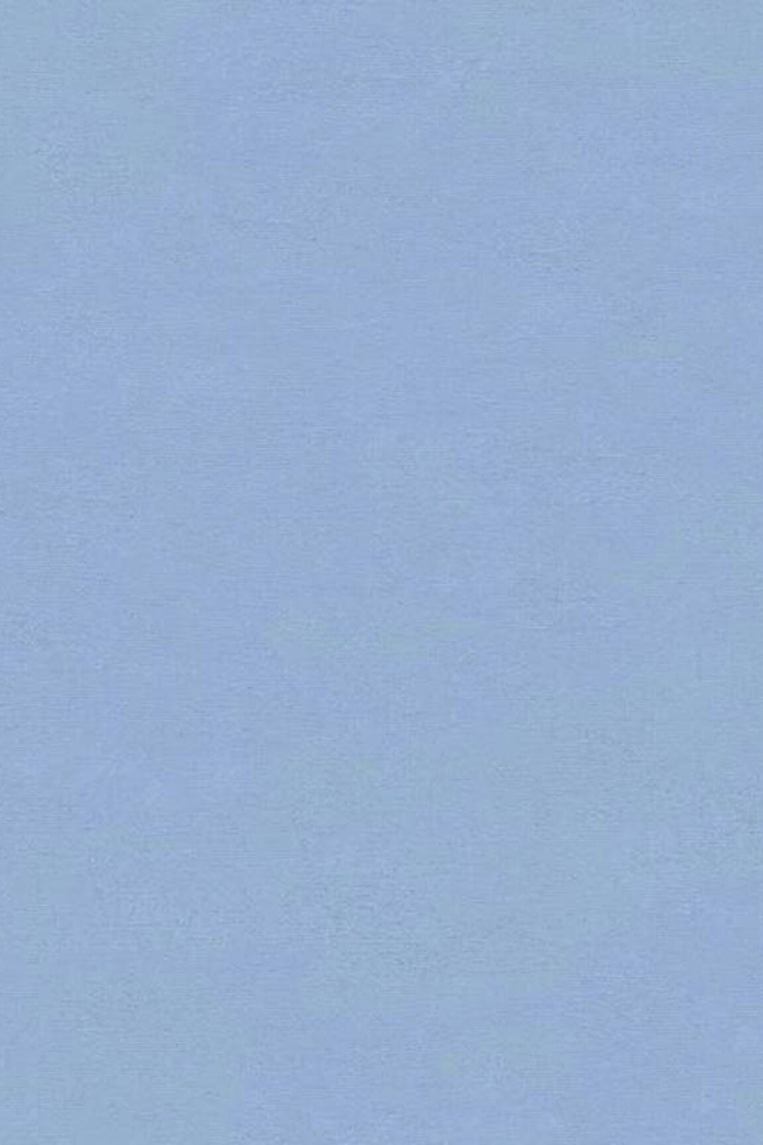 HookedOnWalls Caribbean Plain behang 27280Afbeelding 3