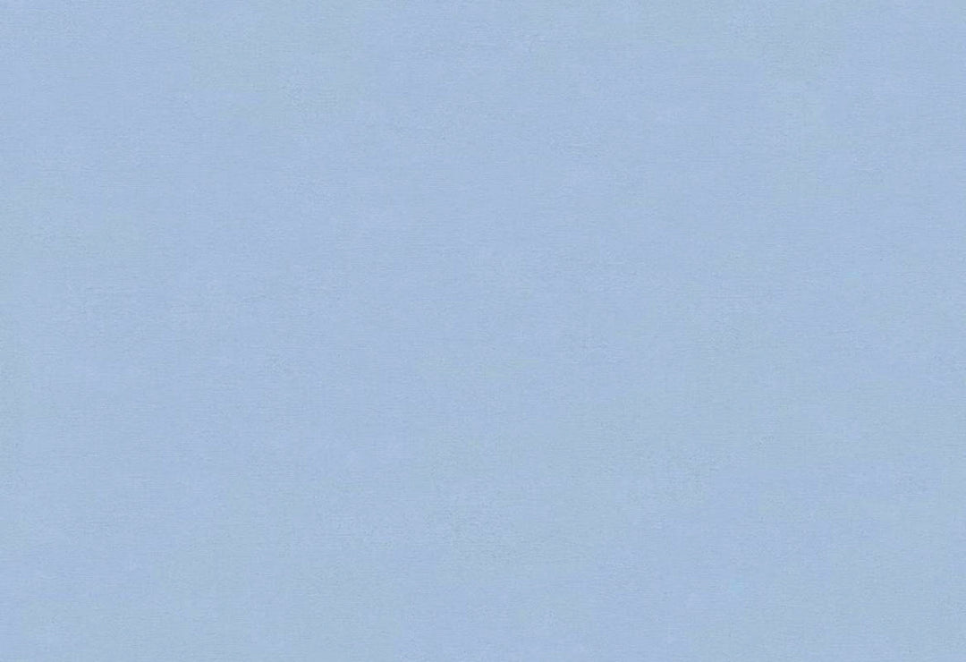 HookedOnWalls Caribbean Plain behang 27280Afbeelding 1