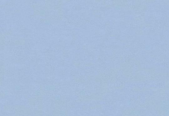 HookedOnWalls Caribbean Plain behang 27280Afbeelding 1