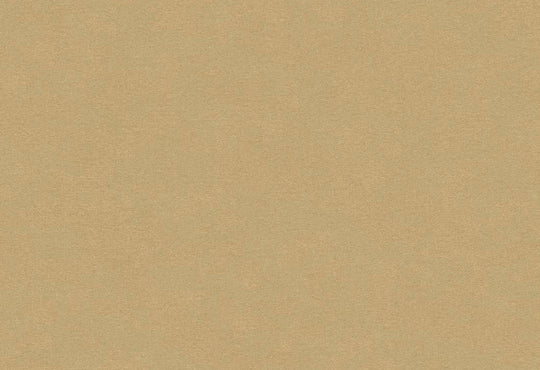 HookedOnWalls Caribbean Plain behang 27282Afbeelding 1
