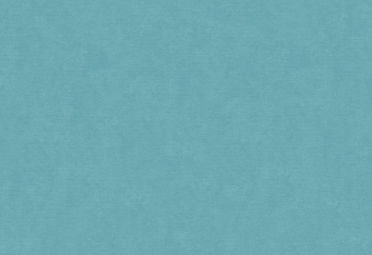 HookedOnWalls Caribbean Plain behang 27289Afbeelding 1