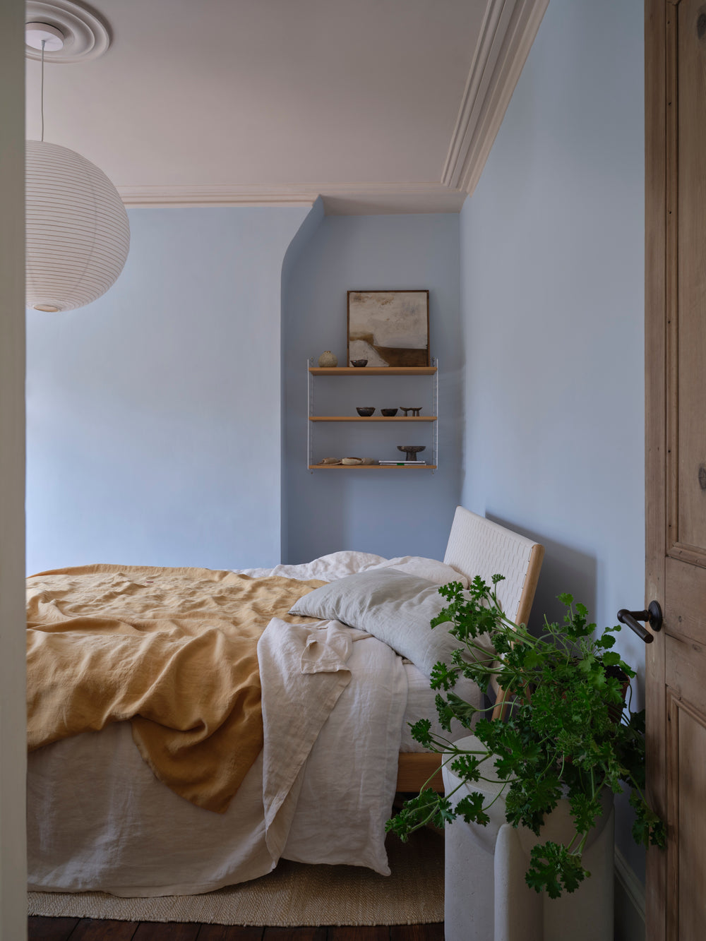 Modern Emulsion | Scallop no. 311