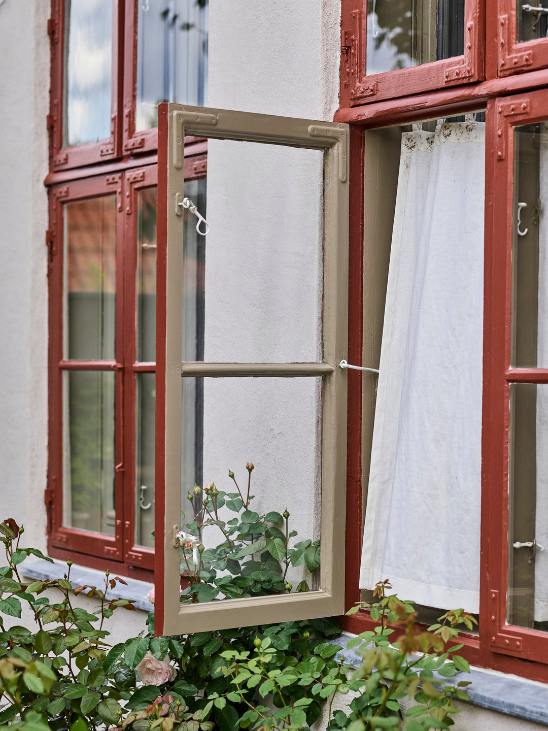 Sample potje | Etruscan Red no. 56 | Farrow &amp; Ball