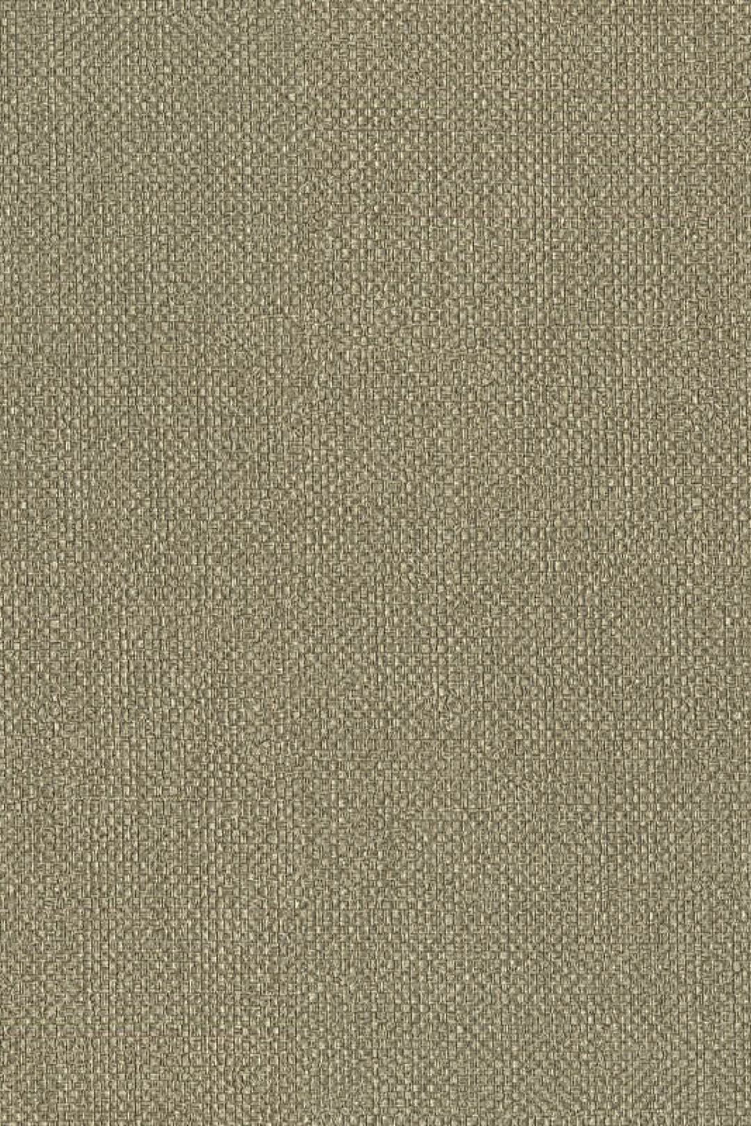 HookedOnWalls Lemuria Baobab behang 60632Afbeelding 3