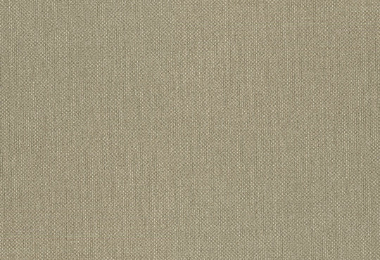 HookedOnWalls Lemuria Baobab behang 60632Afbeelding 1