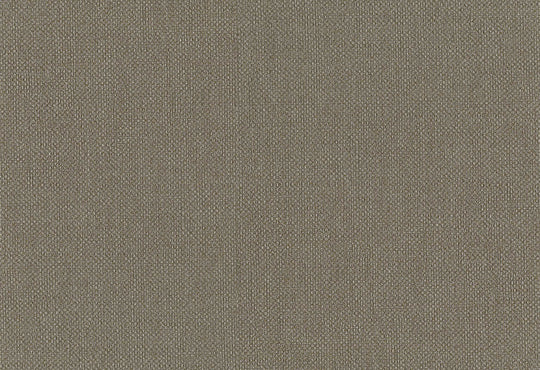 HookedOnWalls Lemuria Baobab behang 60633Afbeelding 1
