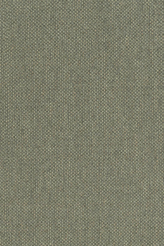 HookedOnWalls Lemuria Baobab behang 60634Afbeelding 3