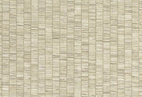 HookedOnWalls Lemuria Unito Ribbon Grass behang 60651Afbeelding 1