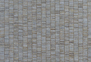 HookedOnWalls Lemuria Unito Ribbon Grass behang 60652Afbeelding 1