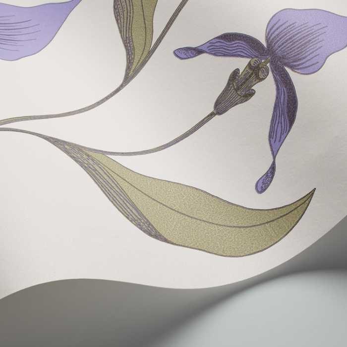 Cole & Son The Contemporary Selection Orchid behang 66/4024