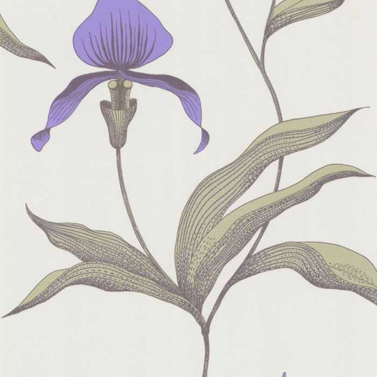 Cole &amp; Son The Contemporary Selection Orchid behang 66/4024