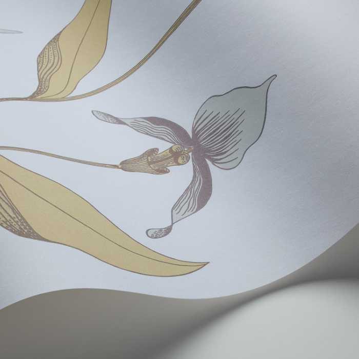 Cole & Son The Contemporary Selection Orchid behang 66/4026