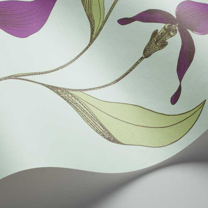 Cole & Son The Contemporary Selection Orchid behang 66/4027
