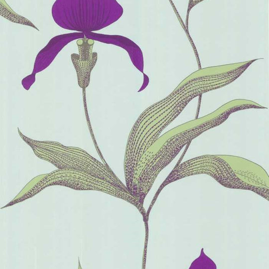 Cole &amp; Son The Contemporary Selection Orchid behang 66/4027
