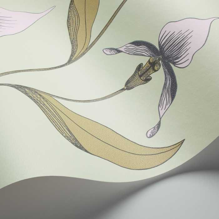 Cole &amp; Son The Contemporary Selection Orchid behang 66/4028