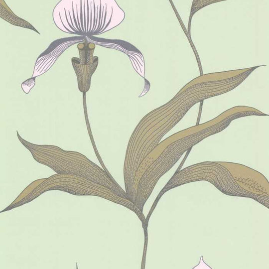 Cole &amp; Son The Contemporary Selection Orchid behang 66/4028