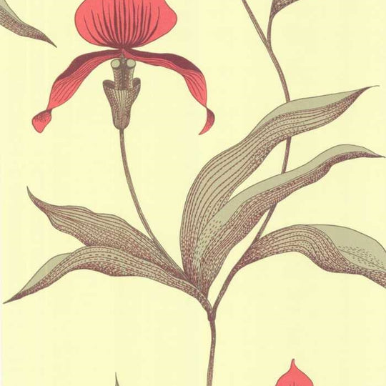 Cole &amp; Son The Contemporary Selection Orchid behang 66/4033