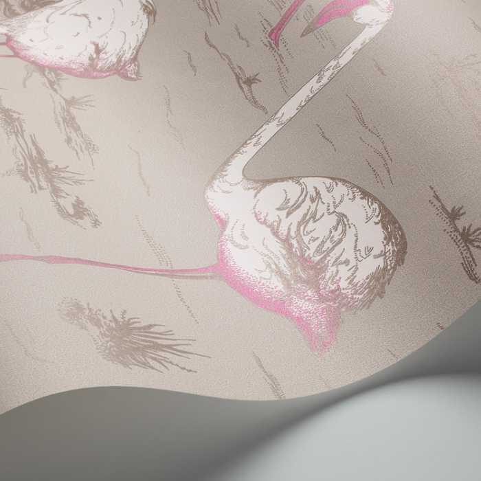 Cole & Son The Contemporary Selection Flamingos behang 66/6042