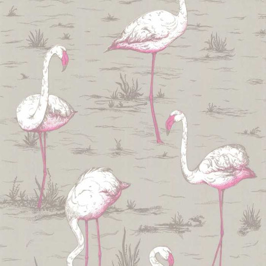 Cole &amp; Son The Contemporary Selection Flamingos behang 66/6042