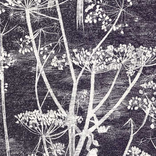 Cole &amp; Son The Contemporary Selection Cow Parsley behang 66/7046