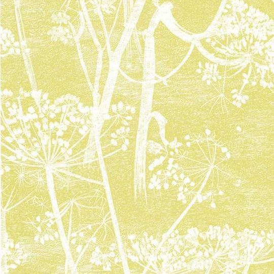 Cole &amp; Son The Contemporary Selection Cow Parsley behang 66/7051
