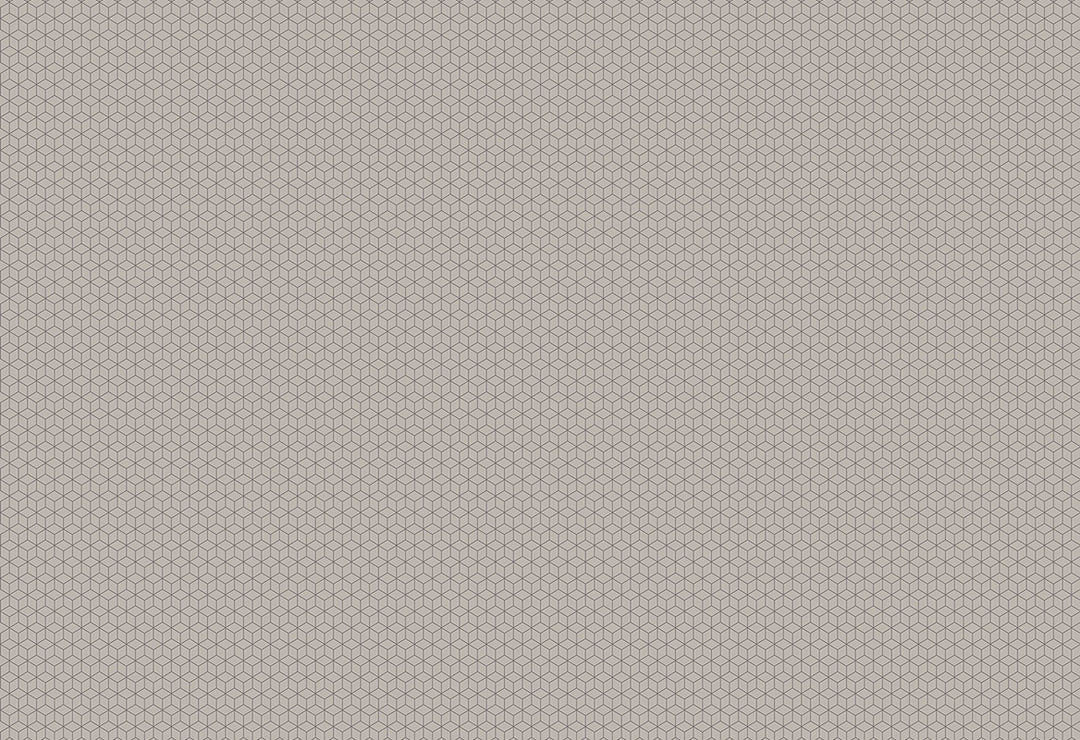 HookedOnWalls Gentle Groove Cubix behang 66524Afbeelding 1