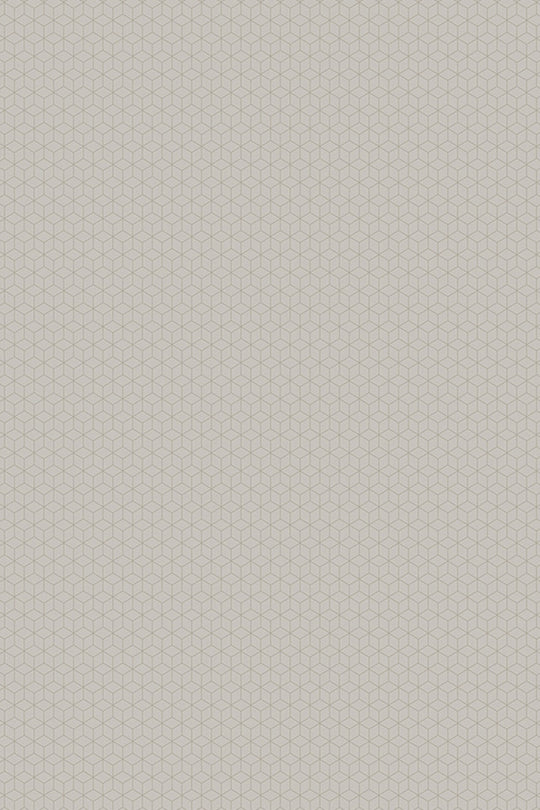 HookedOnWalls Gentle Groove Cubix behang 66525Afbeelding 4