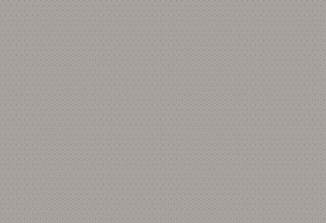HookedOnWalls Gentle Groove Cubix behang 66526Afbeelding 1