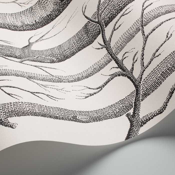 Cole &amp; Son The Contemporary Selection Woods behang 69/12147