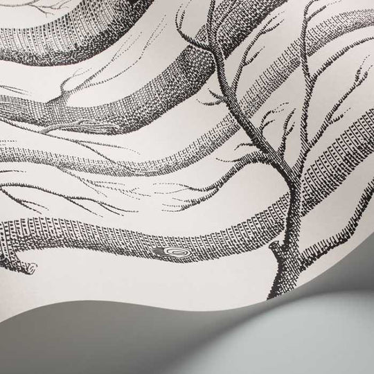 Cole &amp; Son The Contemporary Selection Woods behang 69/12147