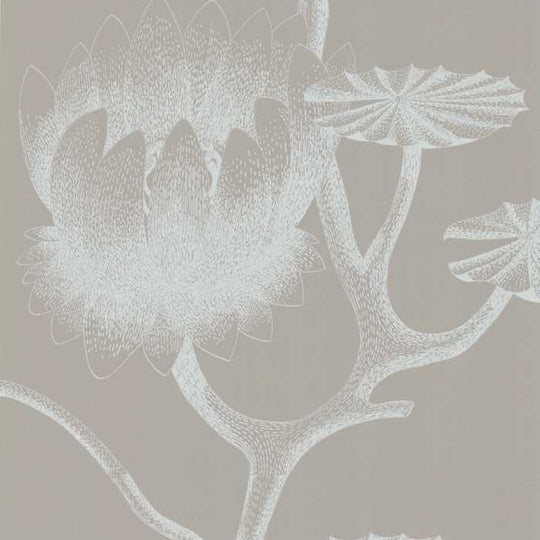 Cole &amp; Son The Contemporary Selection Lily behang 69/3110