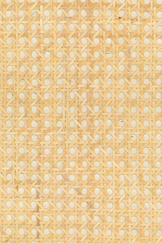 ARTE Rattan Icons 85540 afbeelding 1 "Wit"