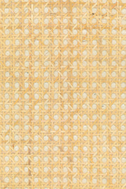 ARTE Rattan Icons 85540 afbeelding 1 "Wit"