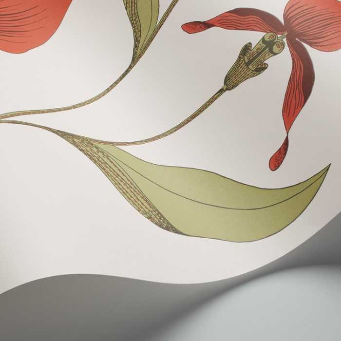 Cole & Son The Contemporary Selection Orchid behang 95/10054