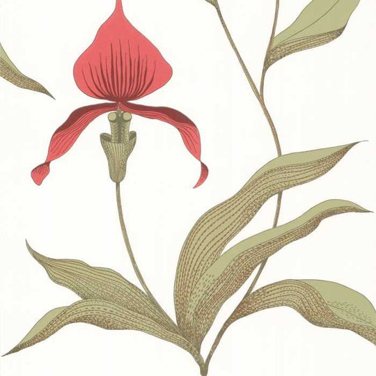 Cole &amp; Son The Contemporary Selection Orchid behang 95/10054