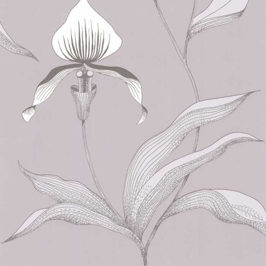 Cole &amp; Son The Contemporary Selection Orchid behang 95/10055