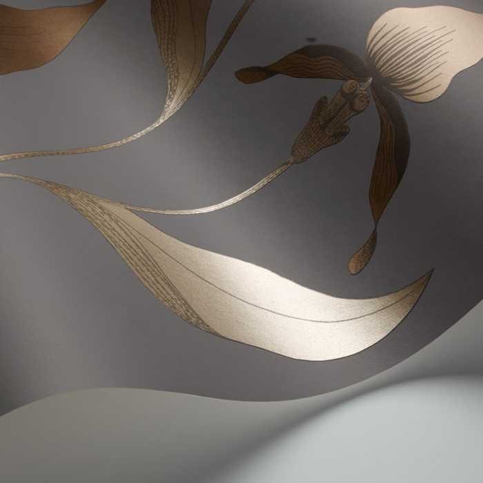 Cole & Son The Contemporary Selection Orchid behang 95/10056