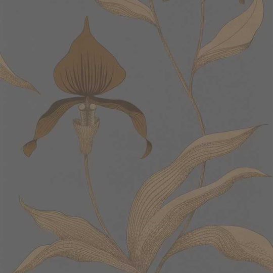 Cole &amp; Son The Contemporary Selection Orchid behang 95/10056