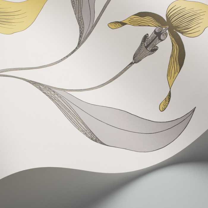 Cole & Son The Contemporary Selection Orchid behang 95/10057
