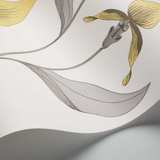 Cole &amp; Son The Contemporary Selection Orchid behang 95/10057